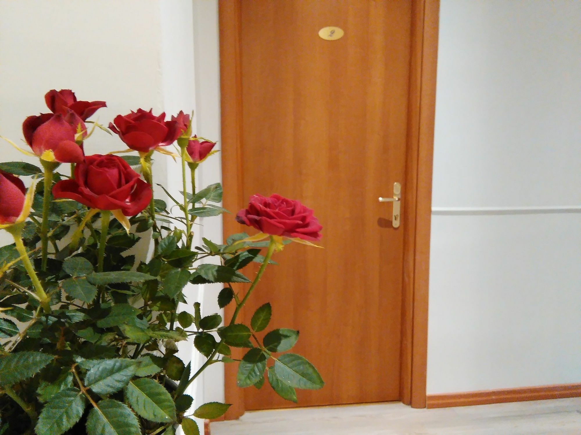 Villa Borghese Guest House Roma Ngoại thất bức ảnh
